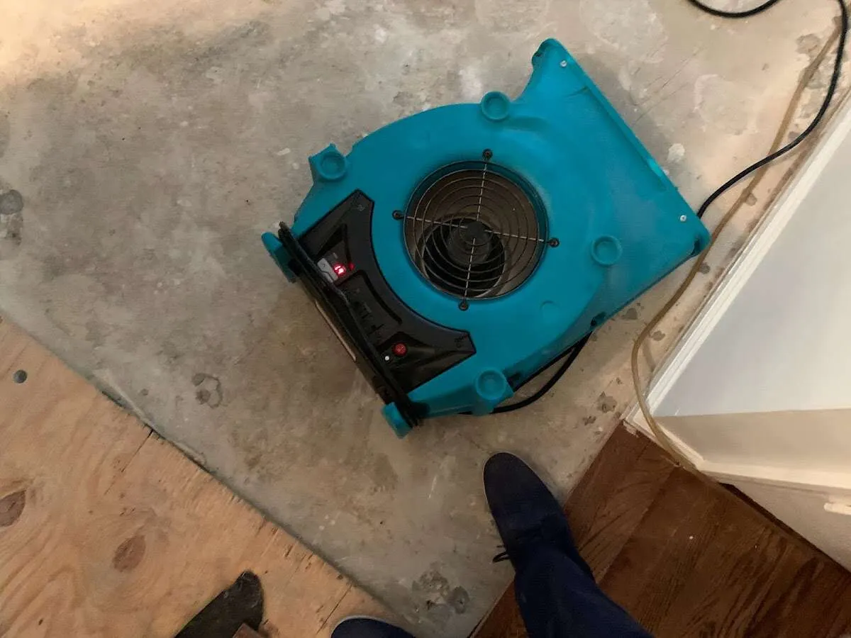 Air mover drying subfloor during Commercial Water Damage Restoration in Shawangunk